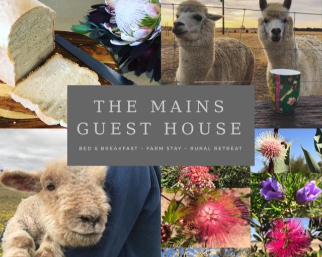 The Mains 2 Bedroom Farm