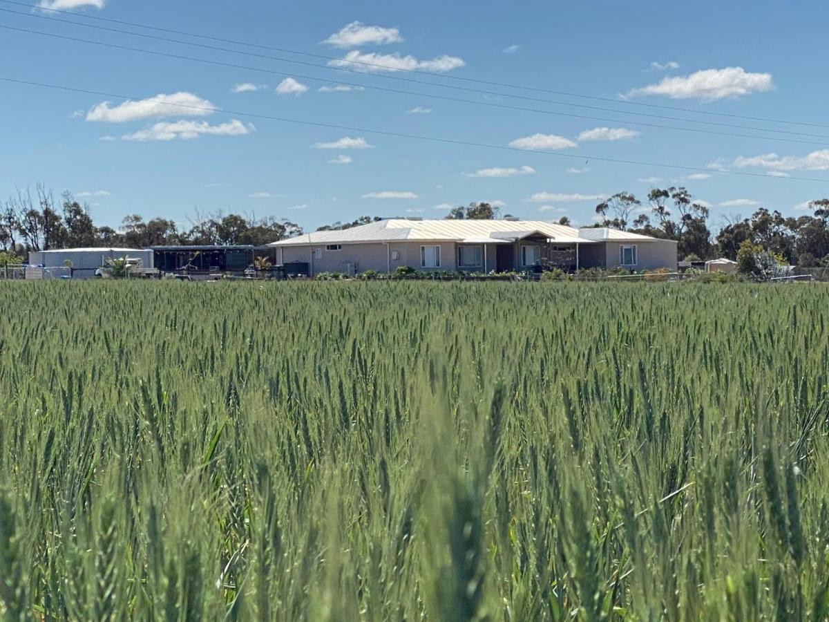 The Mains 2 Bedroom Farm