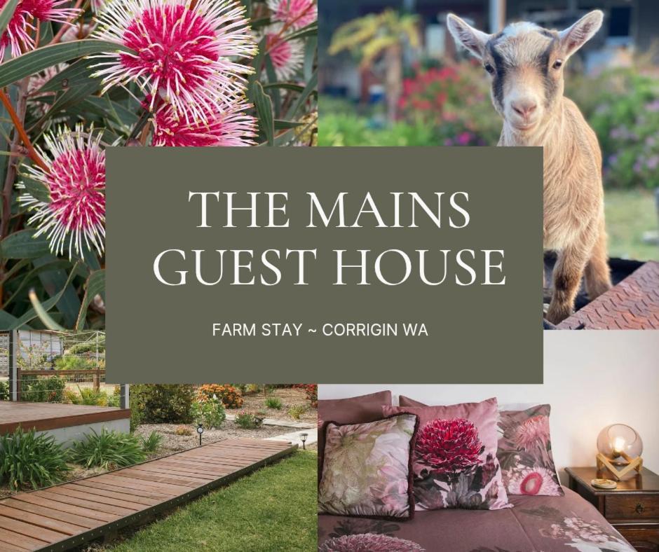 The Mains 2 Bedroom Farm Guest house